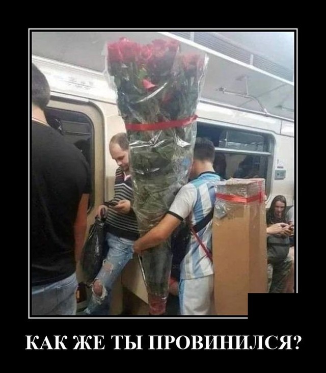 Демотиваторы