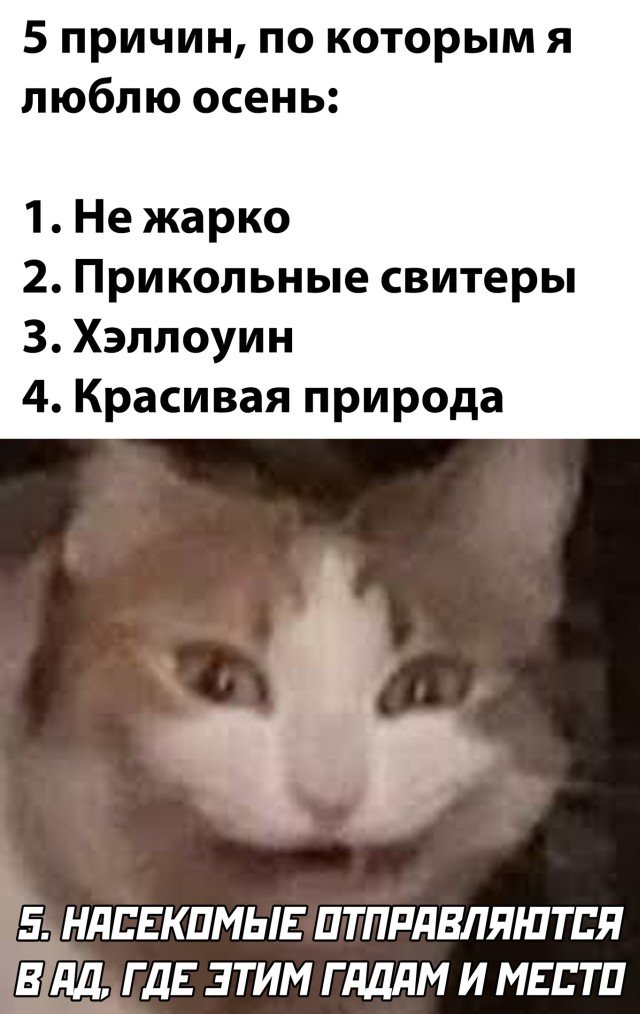 Фотоподборка на вторник (26 фото)