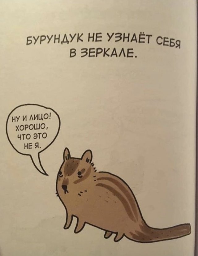 Интересные факты о животных (20 фото)