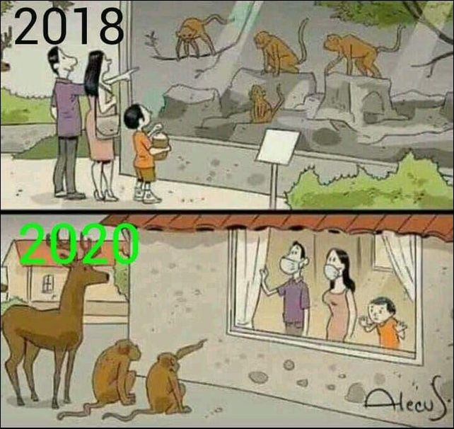 Комиксы и карикатуры