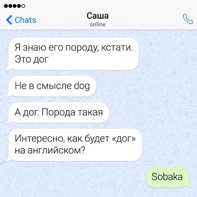 Подборка забавных твитов о нелегком изучении иностранных языков