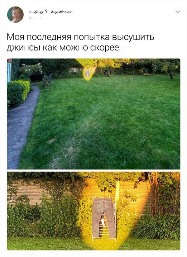 Подборка забавных твитов о смекалистых мужчинах