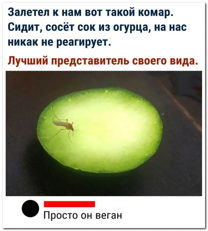Забавные комментарии из социальных сетей