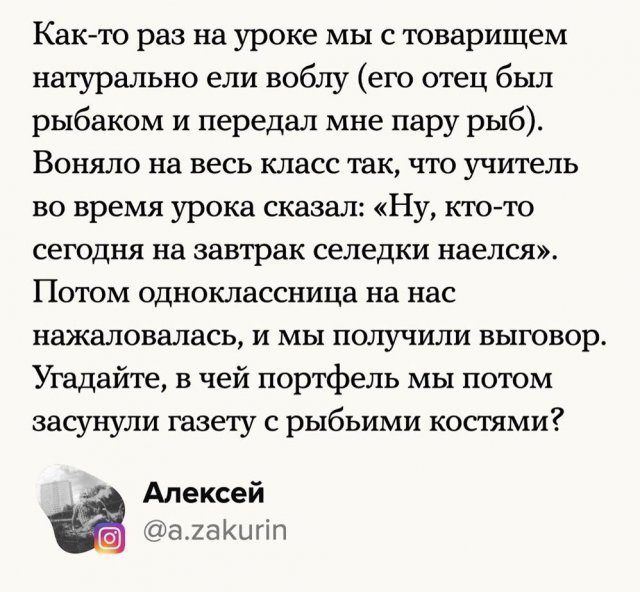 Забавные школьные истории