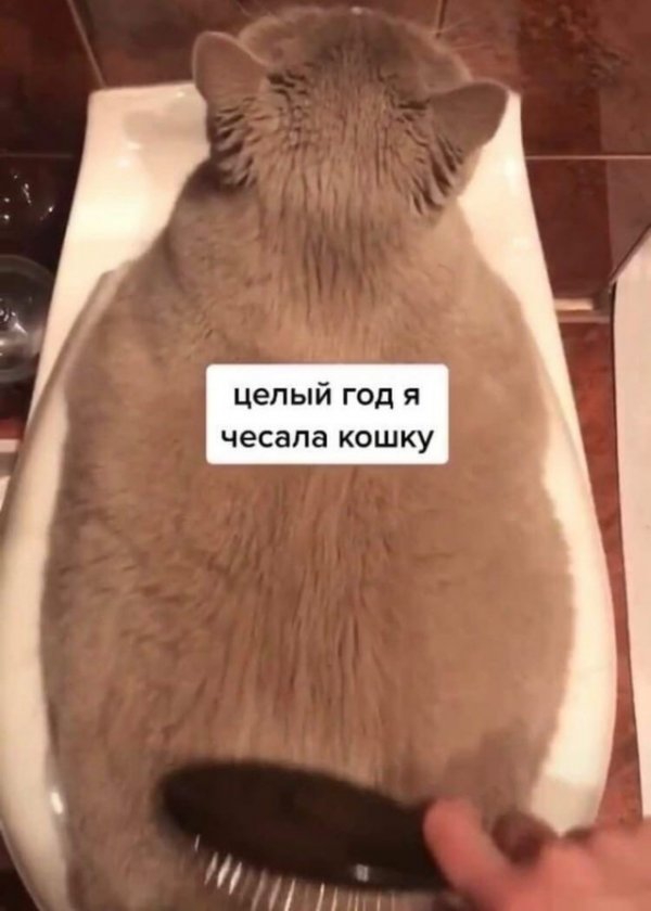Заказчик немного шокирован
