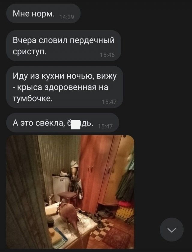 Фотографии из серии "показалось"