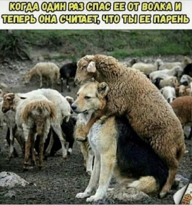 Лучшие мемы из Сети