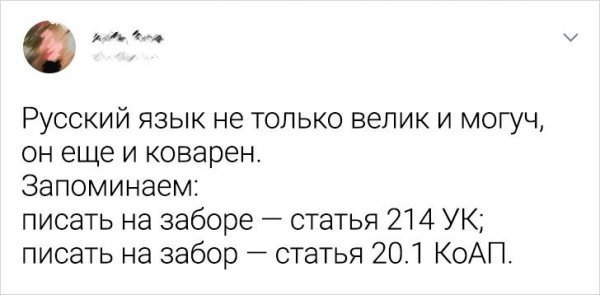 Подборка забавных твитов о русском языке