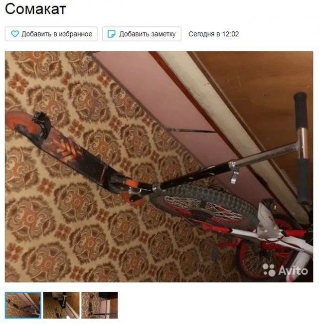 Смешные и нелепые ошибки пользователей социальных сетей