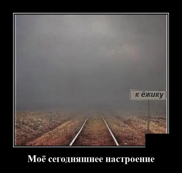 Демотиваторы