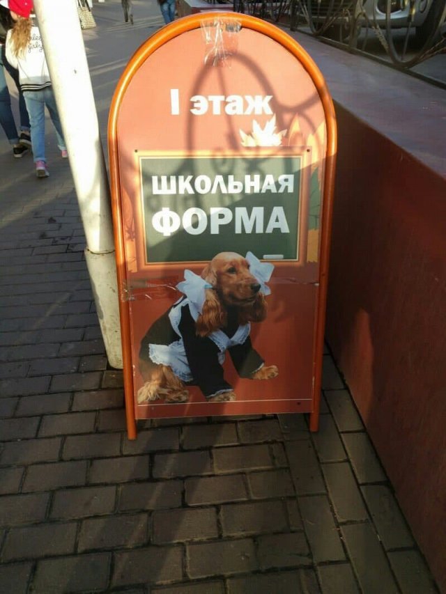 Шедервы дизайна, которые поймут не все