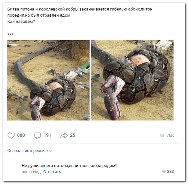 Забавные комментарии из социальных сетей