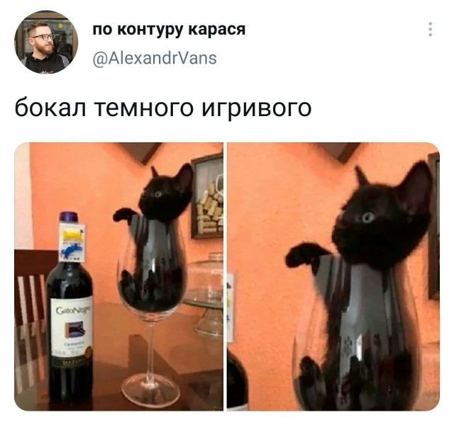 Подборка забавных твитов обо всем