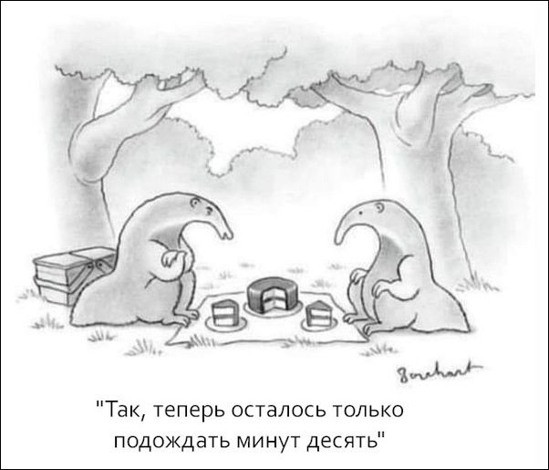 Комиксы и карикатуры
