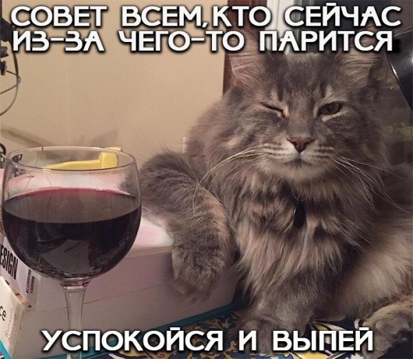 Алкопост