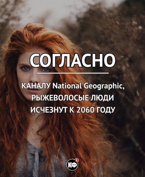Краткие факты