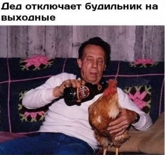 Лучшие шутки и мемы из Сети