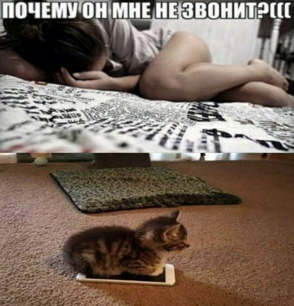 Нестандартный юмор на злобу дня