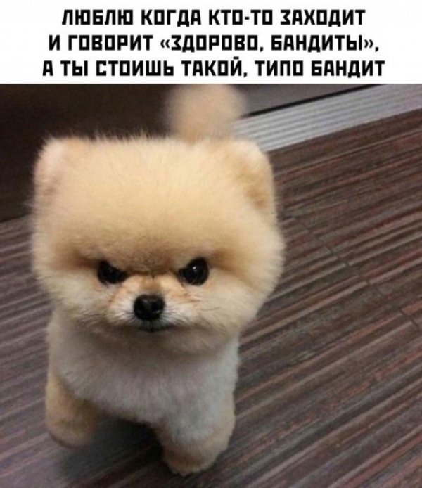 Картинки и мемы для настроения