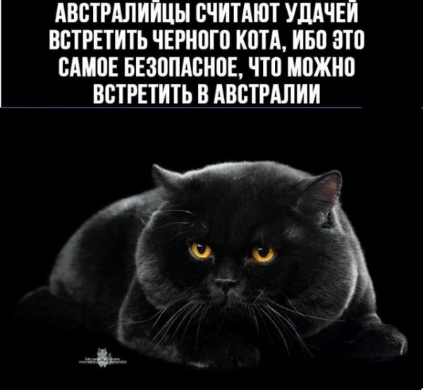 Картинки с надписями и всякие жизненные фразы