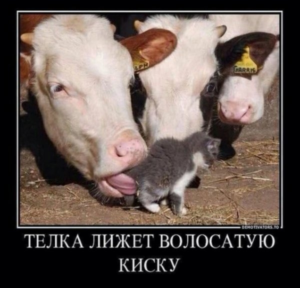 Нестандартный юмор )