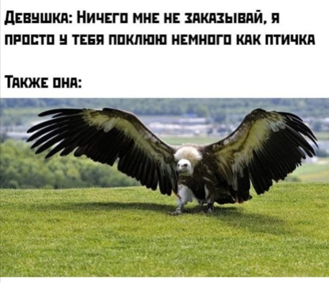 Юмор на взрослые темы (13 фото)