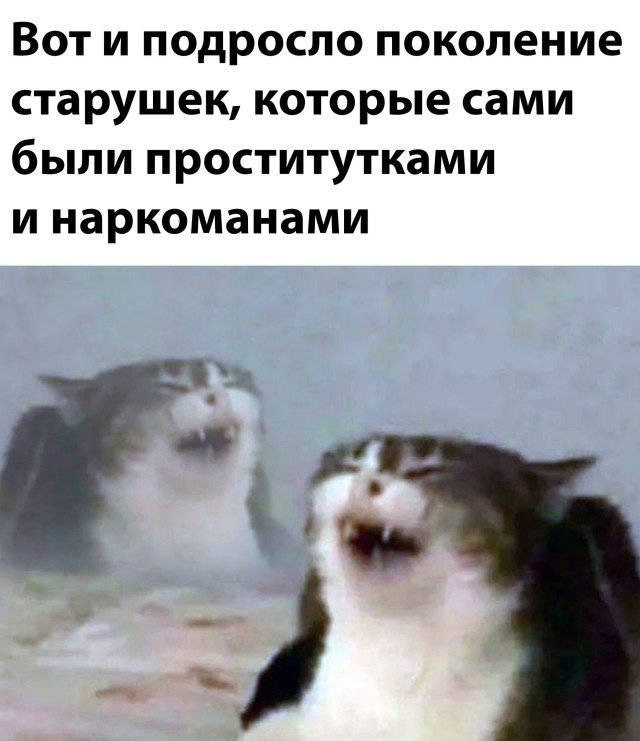 Фотоподборка (25 фото)
