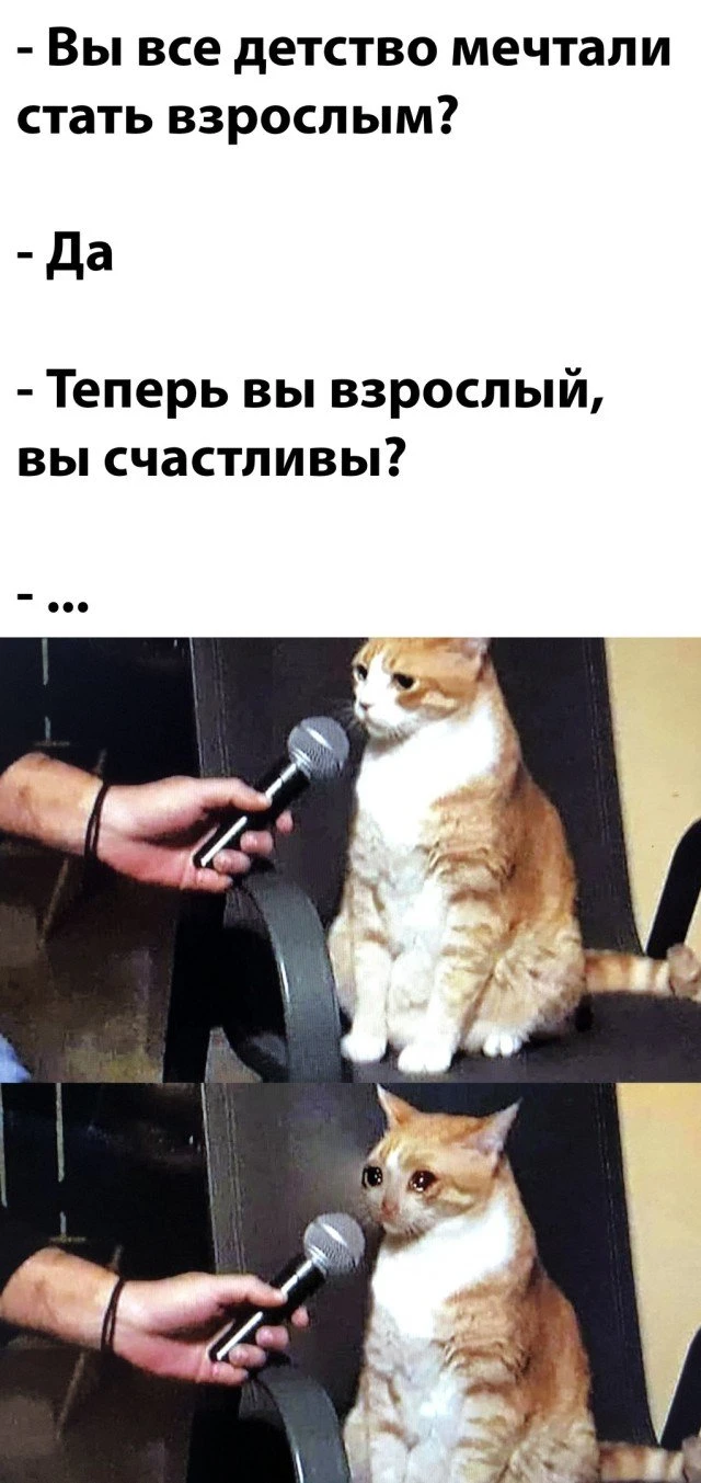 Фотоподборка пятницы (25 фото)