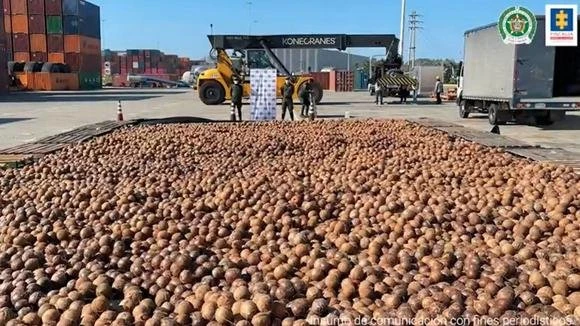 Полиция Колумбии конфисковала почти 20 000 кокосов, наполненных жидким кокаином