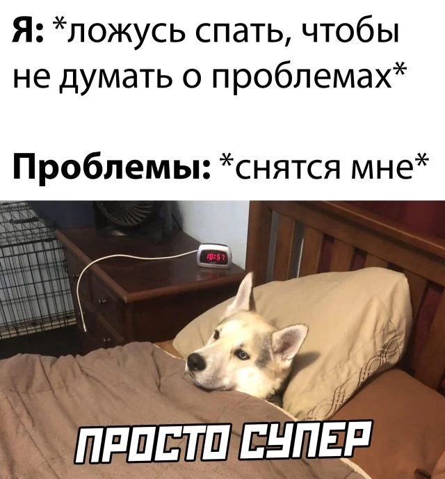 Фотоподборка вторника (21 фото)