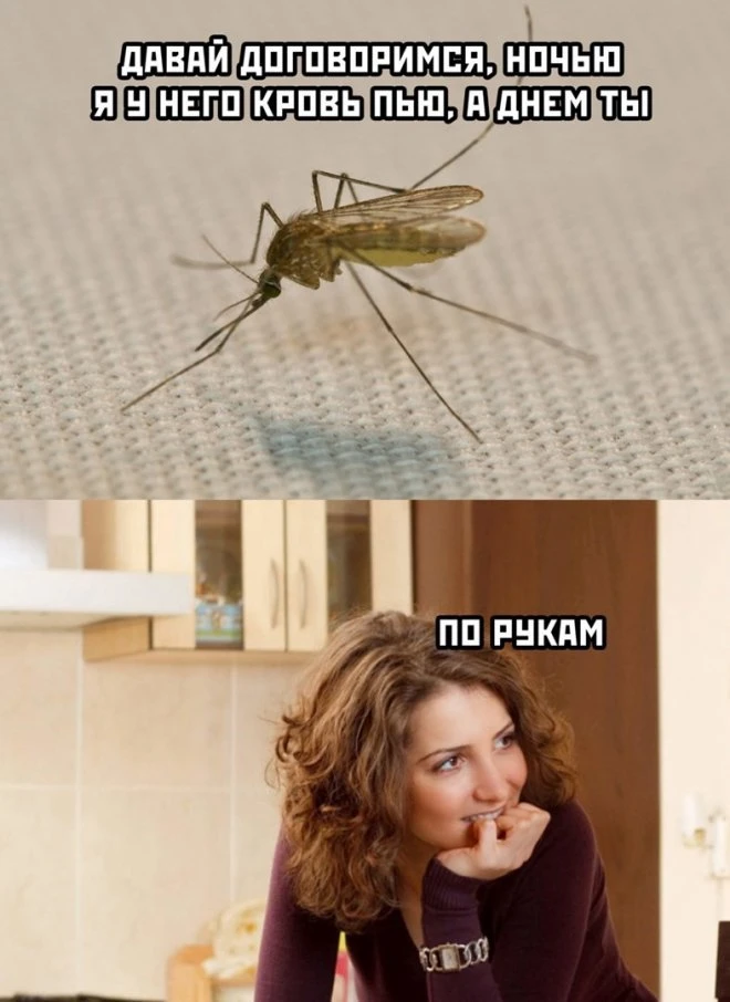 Разный юмор из интернета (18 фото)