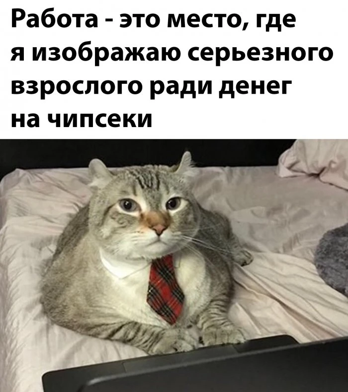 Фотоподборка вторника (35 фото)