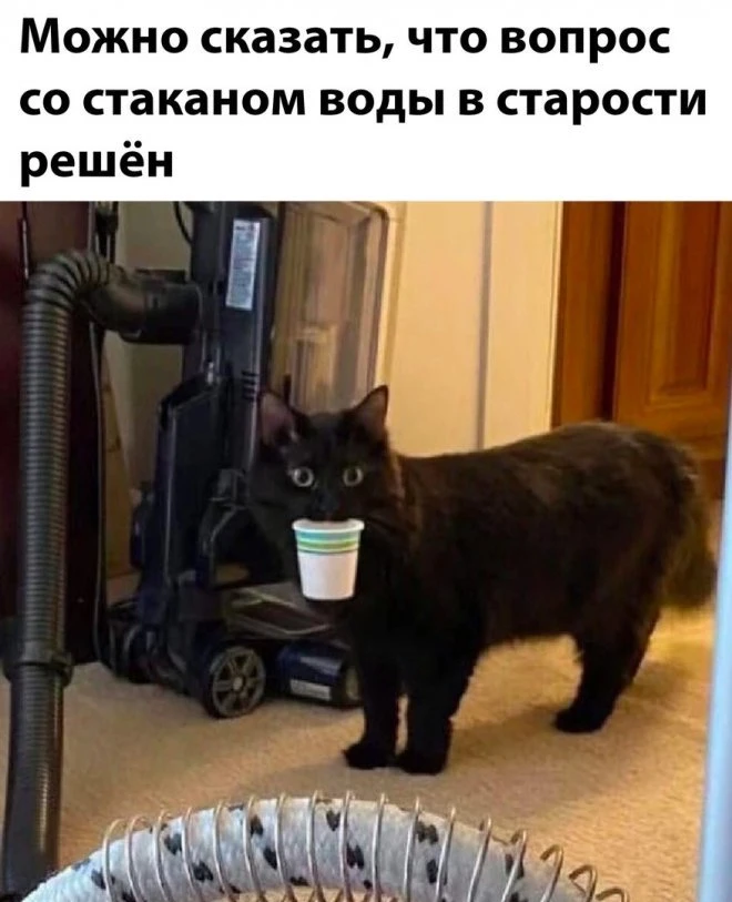 Юмор из интернета (33 фото)