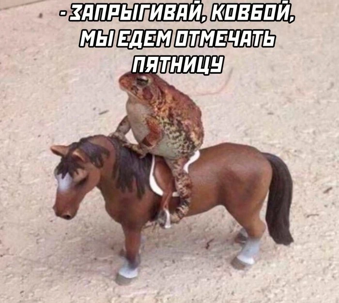 Фотоподборка на выходные (35 фото)