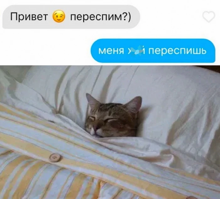 Скриншоты из социальных сетей (25 фото)