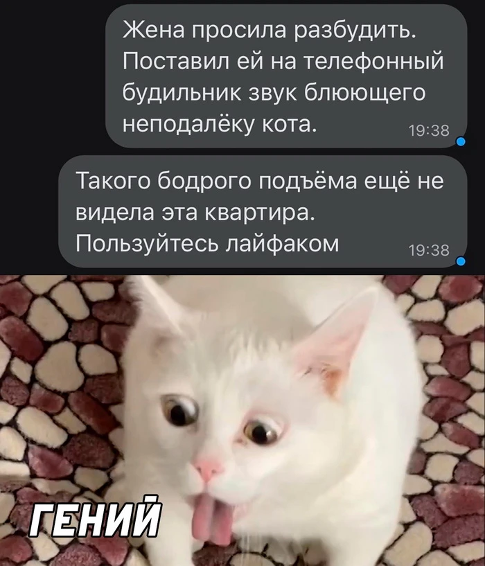 25 смешных скриншотов из российских социальных сетей