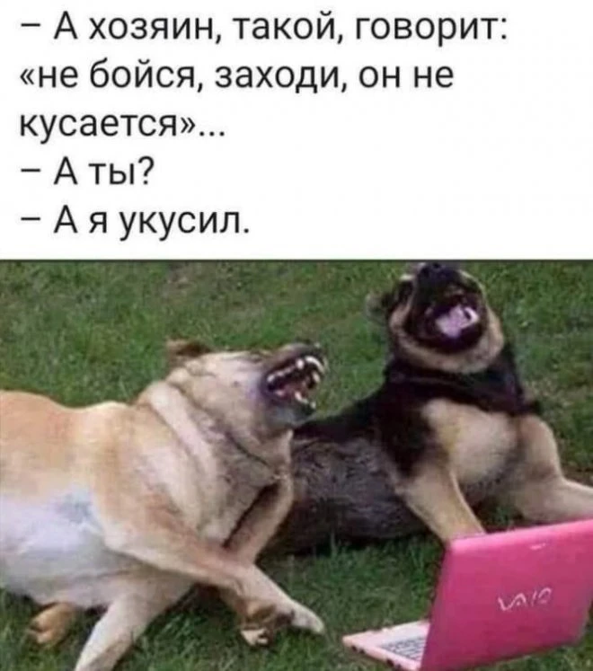 31 забавный мем и картинка из интернета