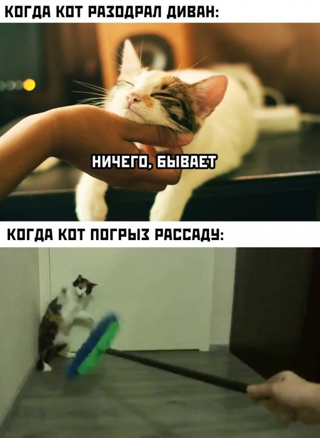 32 забавных картинки и шутки из интернета для хорошего настроения