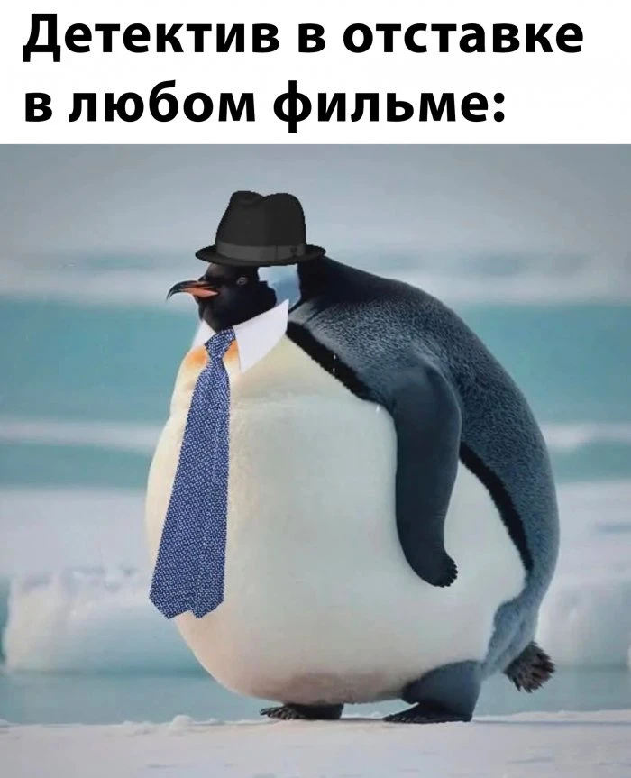 35 забавных и необычных фотографий: фотоподборка, которая поднимет вам настроение