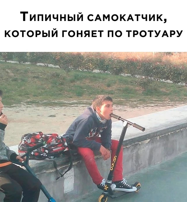 35 забавных картинок и фотографий для хорошего настроения