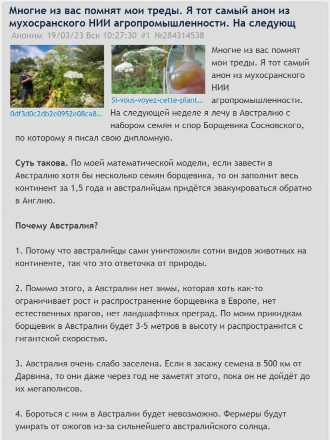 Борщевик против Австралии (2 фото)