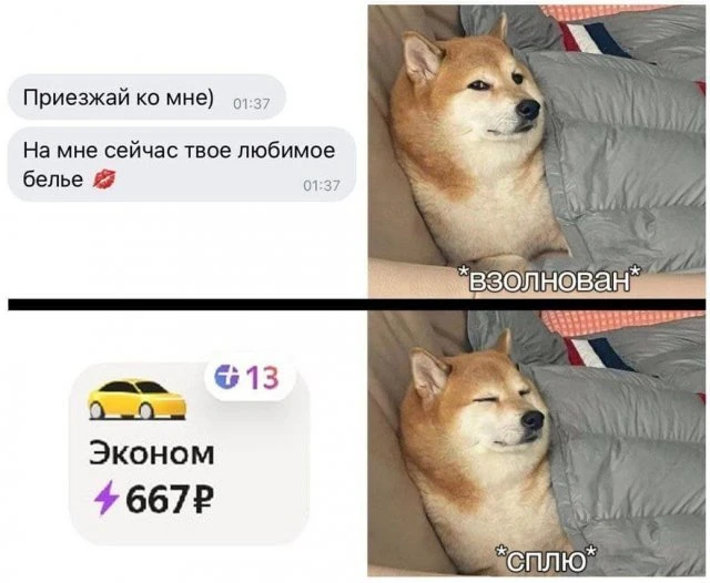 Юмор на взрослые темы: 14 фото, которые рассмешат до слез