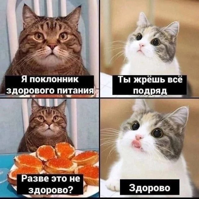 Смешные мемы и шутки из Сети (21 фото)
