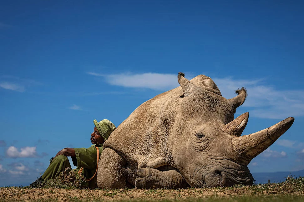 Победители National Geographic Travel Photographer 2022: лучшие фотографии от путешественников