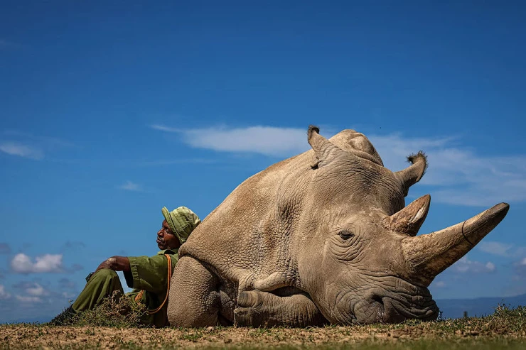 Победители National Geographic Travel Photographer 2022: лучшие фотографии от путешественников