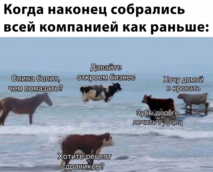 Прикольные картинки и фото: 35 отборных снимков