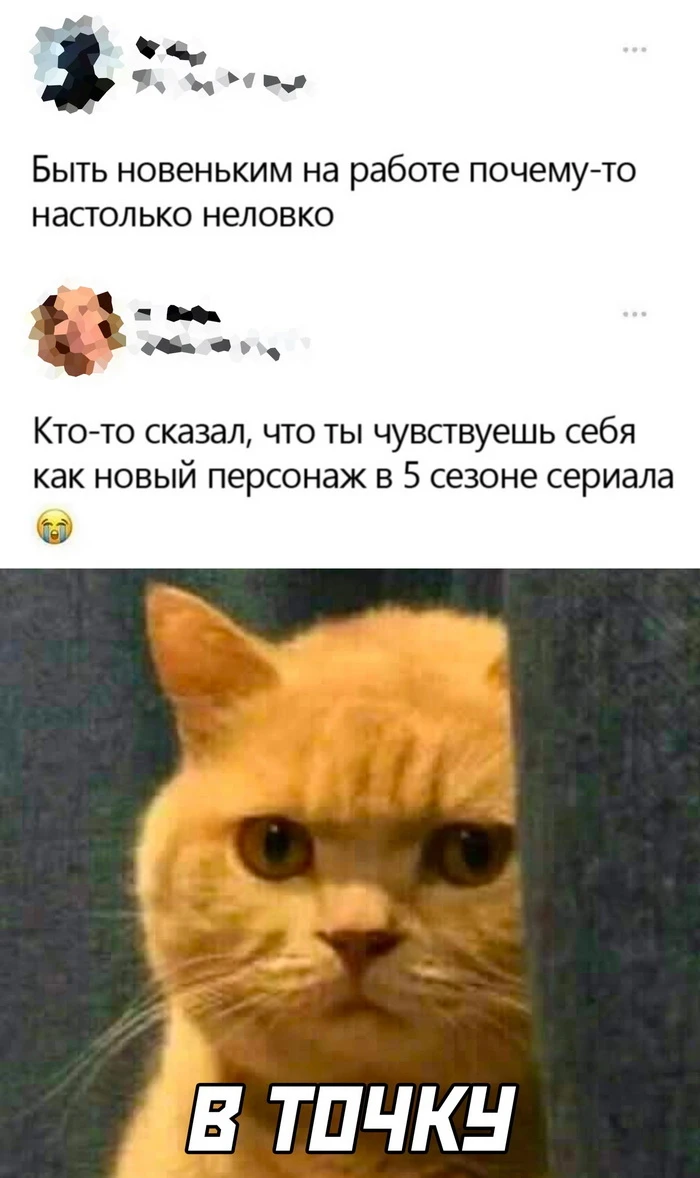 Скриншоты из социальных сетей (25 фото)