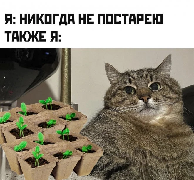 Самые смешные фотоприколы дня: подборка, которая не оставит вас равнодушными