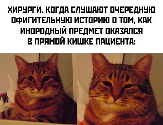 Забавные фотографии и мемы из интернета (27 изображений)
