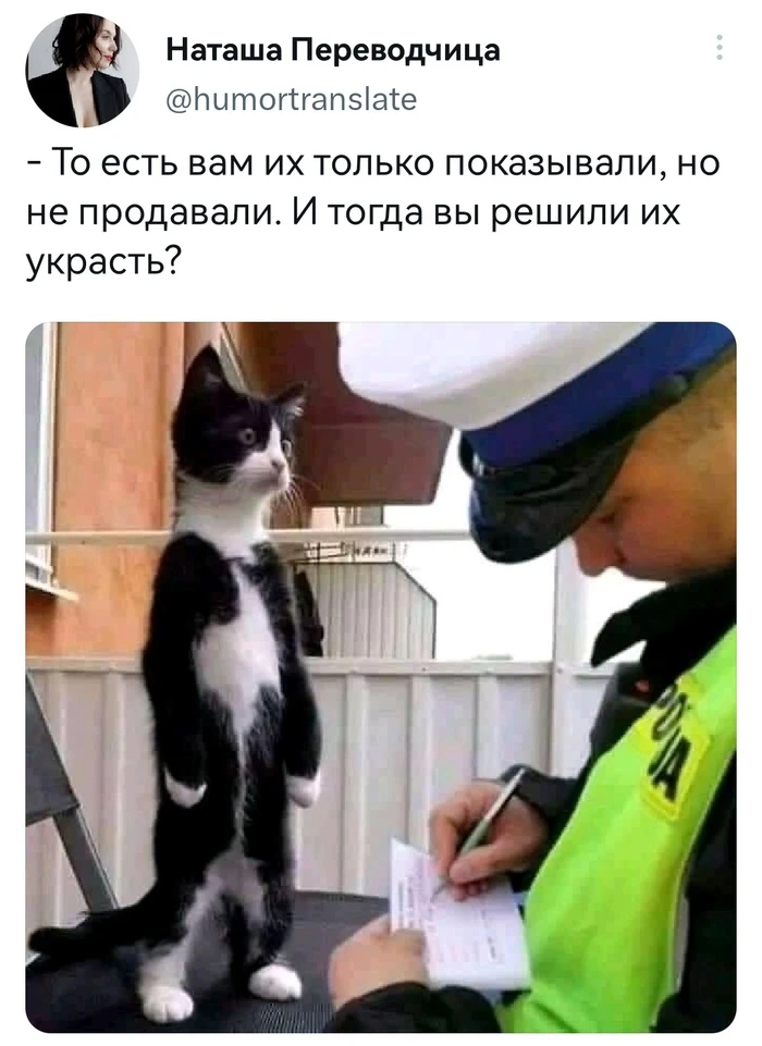 Забавные скриншоты из российских социальных сетей (30 изображений)